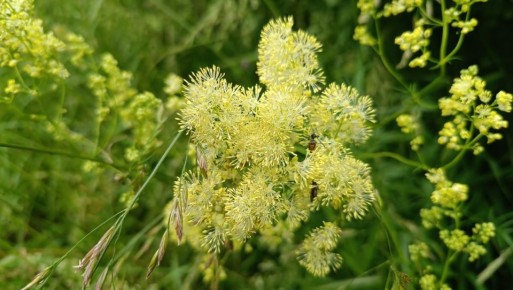 ������������ ����������� ������������ ��� ��������� ����������