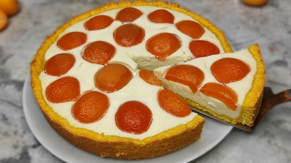 ������ ����� � ����������: ������, ������� � ������� �������