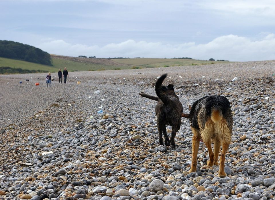 ���� ����� ������ �� ���������� ������� � ������������ ������� ������