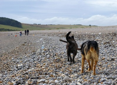 ���� ����� ������ �� ���������� ������� � ������������ ������� ������