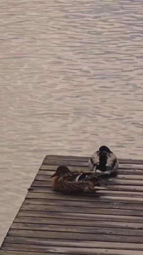 Весна хоть и капризная, но уже понятно, что скоро на улице будет тепло и очень красиво