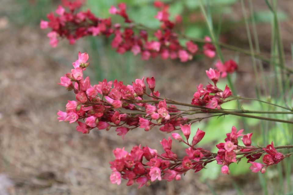 ��������� �������: ������� � ���� � ����� ����