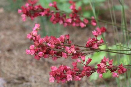 ��������� �������: ������� � ���� � ����� ����