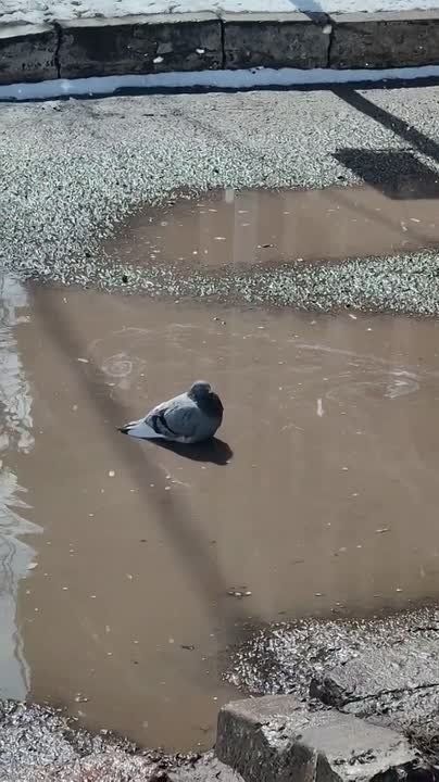 ������� �� ���������� ������ � �����������