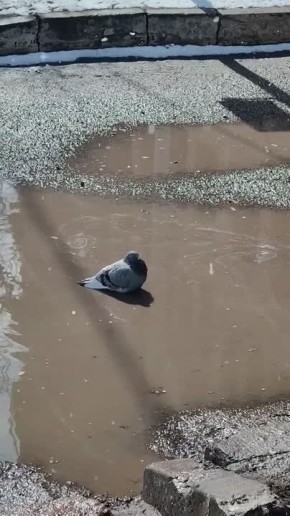 ������� �� ���������� ������ � �����������