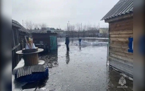 � ������������ ���� ������������ �������������� ���������� ���������� ��������