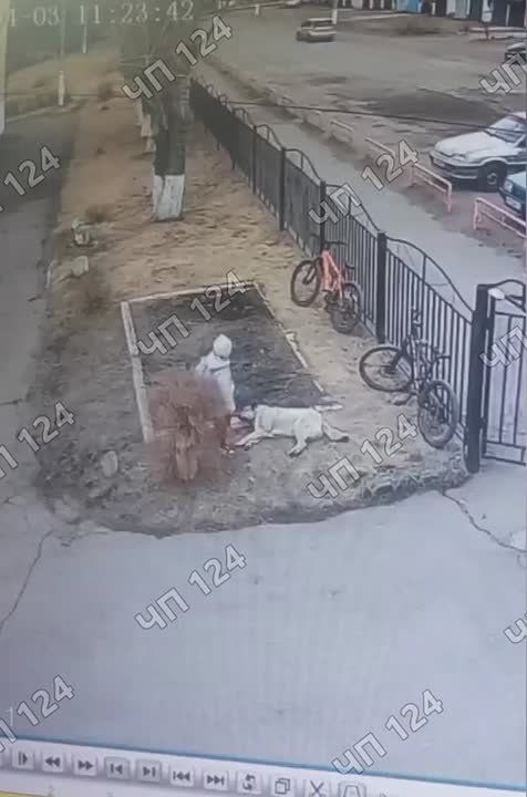 � ����������� �������� ������ ������� ���������� ������� ����� �����