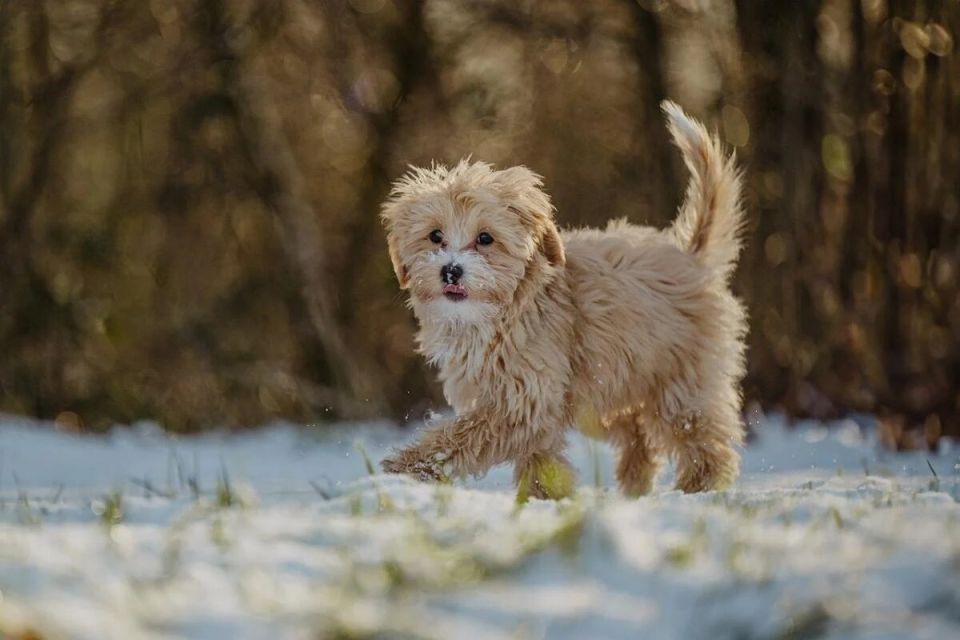 ��� ��������� ������� ���� ������: �������� ������ �� ��������