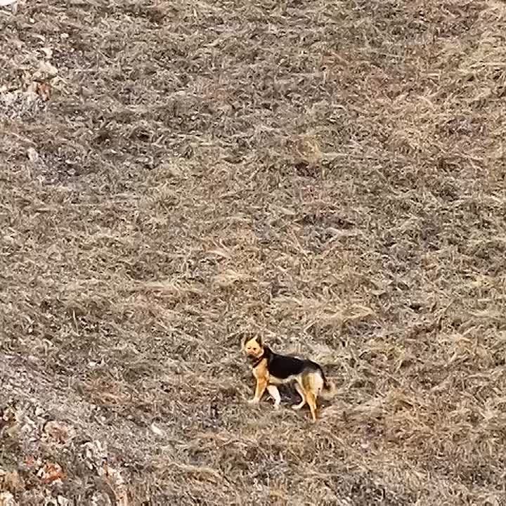 �������� ������� ����� �� ������ �� ������������ ������