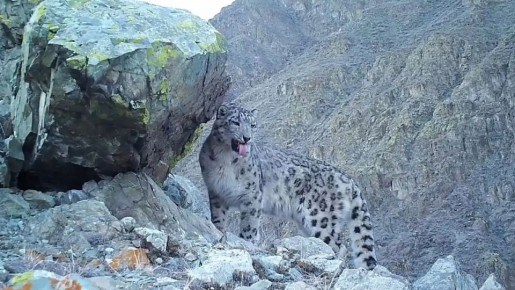 ������������ ������ �������� � �����-��������� �����������