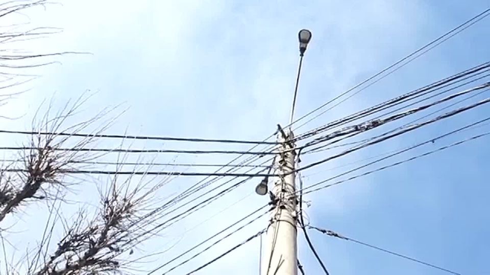 ����� ������ ���� ����������� �������� ��� �����