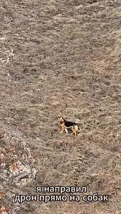 ������������ �������� ����� ������� ����� � ���� �������� ����