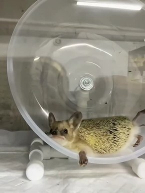 Доброе утро!. Пусть ваше утро начнется с улыбки