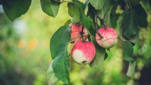 ��������� ������: ����� ������ ��������� ������� ��������� � ���� ������?