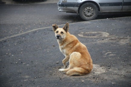 � ������������� �������� �������� ��-�� ��������� � ���������