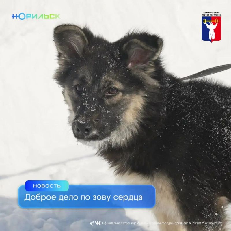 � ����� ����������� ������ �������� ��������� �������� �������