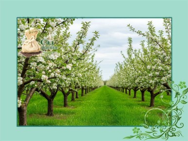 ������� ����������� ���������� ����� ��������� ��������� ��� ������������� ������