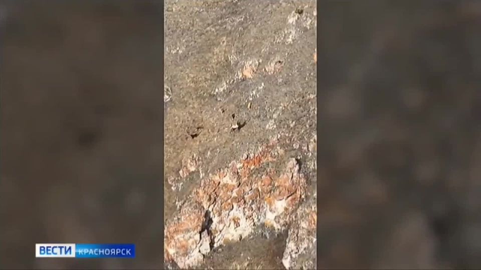 � ����������� �������� ��� ������ ����� �������� ������ �� ��� ���� ��������� �����