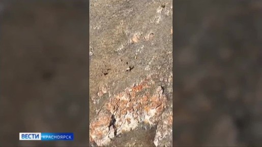 � ����������� �������� ��� ������ ����� �������� ������ �� ��� ���� ��������� �����