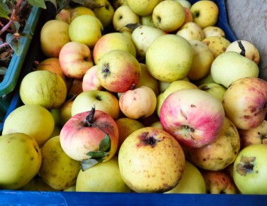 ��� �������������� ����� � ������� � ������: ������� ������