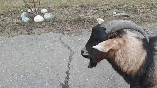 ����� ������ �� �������� ���� � �����������