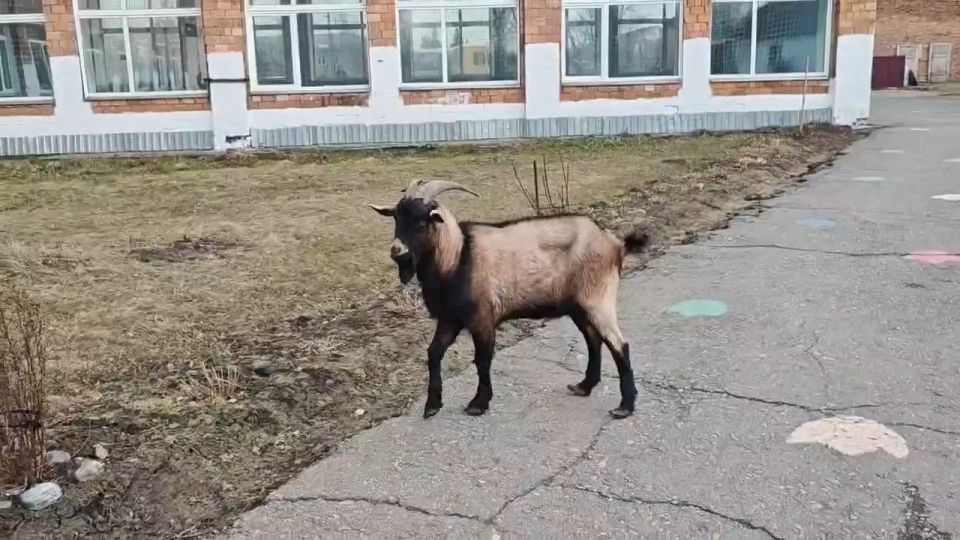 �������� ������ ������ � �������� ���� � ���� �����������