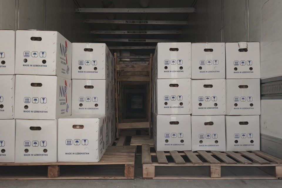 � ������������ ���� �� ����������� �������� 135 ����� ������������� ���