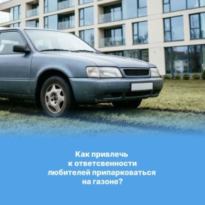 ��������� �� ������? �������� ����������, ��� �������� ����������� � ���������������!