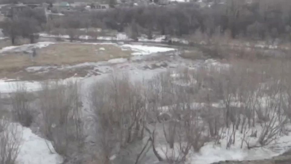 � ������������ ���� ��������� ���������� � �������� � ������ �������