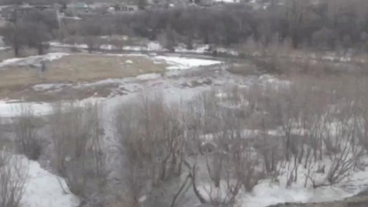 � ������������ ���� ��������� ���������� � �������� � ������ �������