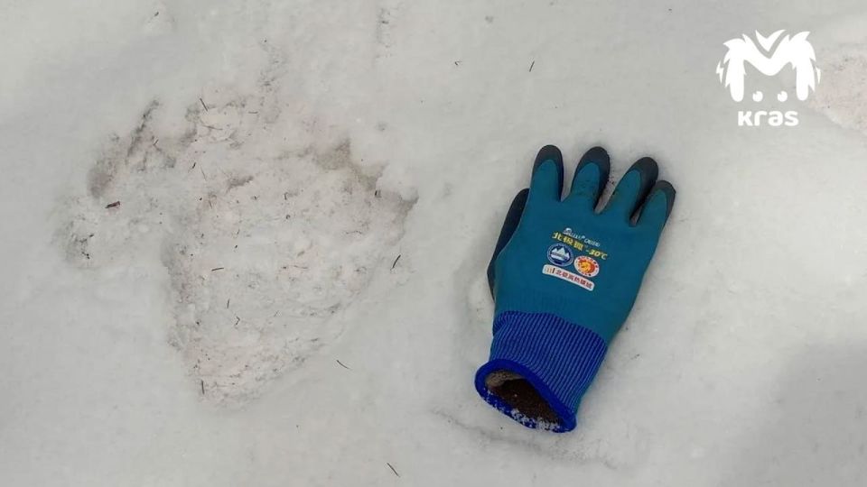 ������� ���������� � ������������ ����