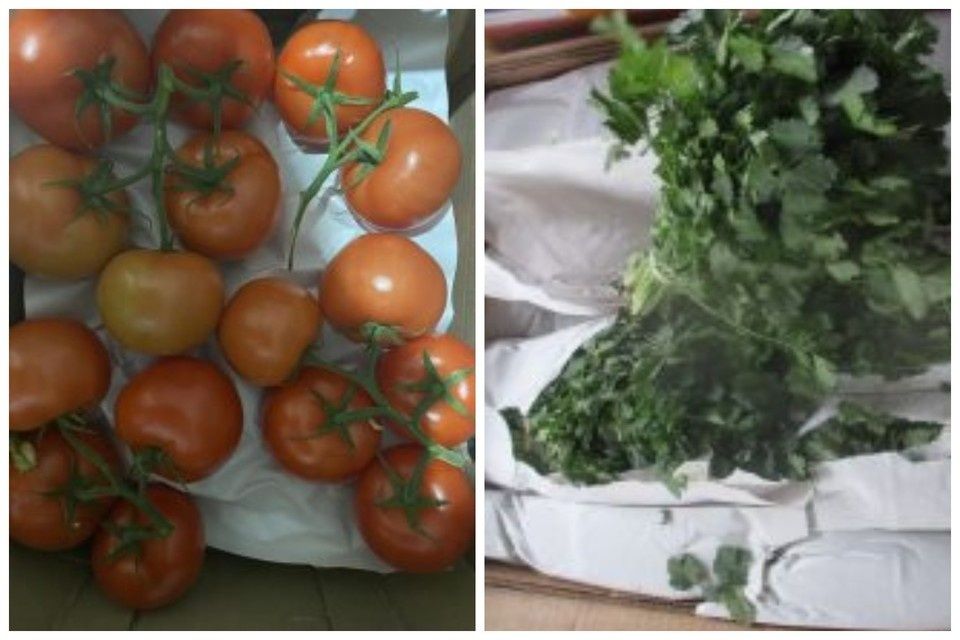 ����� � ������ ��� �������: ������� ��������� �� ������ ��������