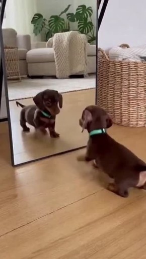 ������ ����!. ��������� � ���� ������� � ���������