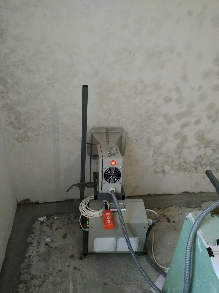 Современные технологии борьбы с плесенью: обзор и практическое применение