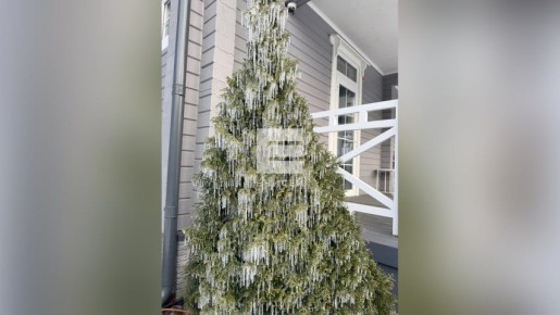 ��� ������������ � ���-������ ��-�� ��������� ���������� � �����������