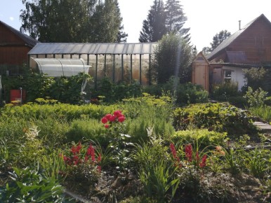 ������ ���������: ��� ��������� ���� ����� ����� ���