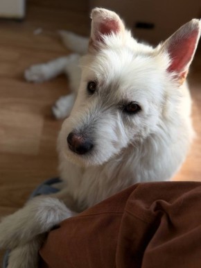 ��� ����� � ��������� ������� ���� ���