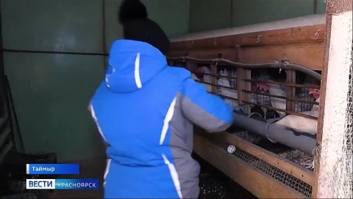 ����� �������� � ������ ����� ��������� � ���������� ������� ��������