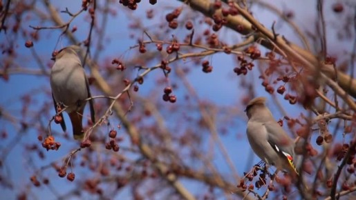 ����� ��� ���, � ���� ����� ��� ������� ������� ������, ���������� �� ����, ������� � ������������ �������