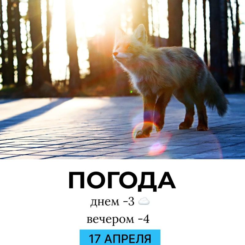 ������ �� �������. @gornovosti