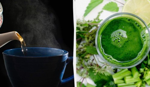 ������� ������� ���� �����������: 10 ��������, ������� ������� ���� ������������