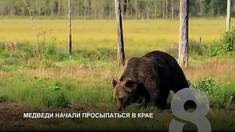 ������� �� ���������. ���� ���������� ������ ������������ �������� �� ��������� � ������-������ ������ � �����������