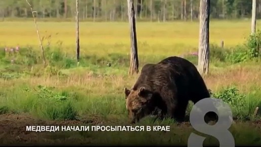 ������� �� ���������. ���� ���������� ������ ������������ �������� �� ��������� � ������-������ ������ � �����������