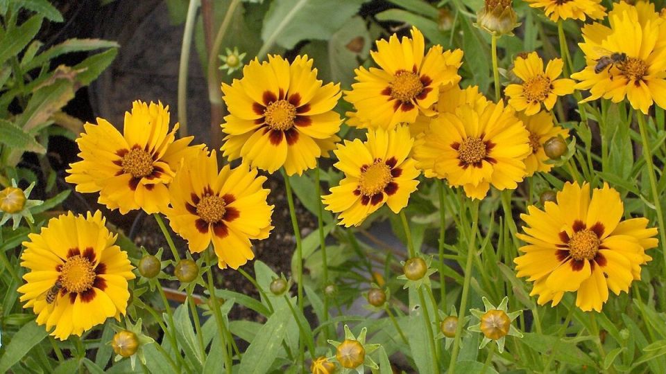 ����������: ����� ������� � ����� ����