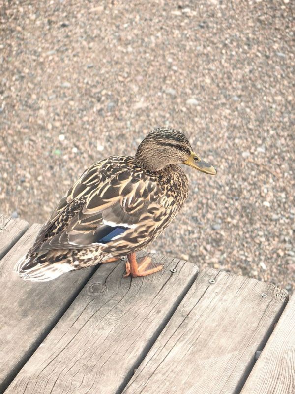 �� -10�C �� +5�C: ������� ������ �� �������� � �����������