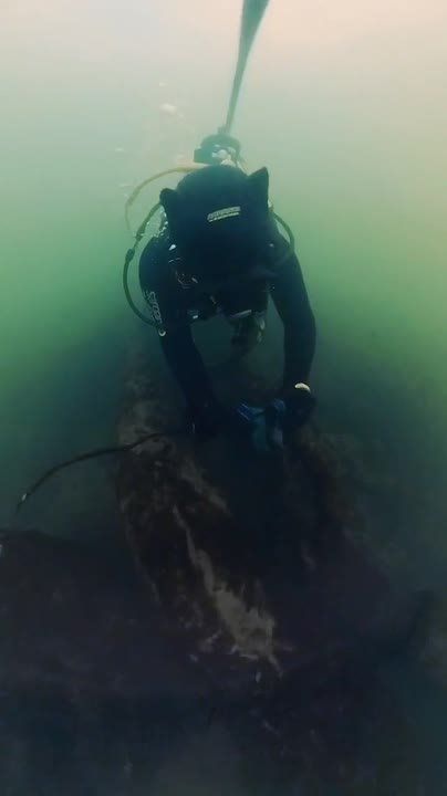 �� ��� ������ ����� �������������� ����� ��������� ������