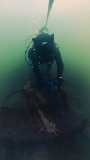 �� ��� ������ ����� �������������� ����� ��������� ������