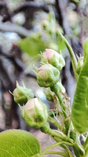 ������ ����!