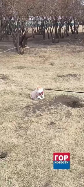 ����� �� ����� ���� ������ �� ��������