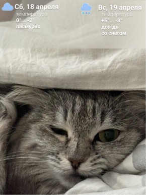 ����: � ����� ������ ������ ����� � �������